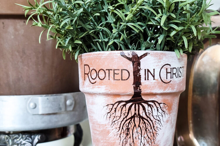 rooted in Christ finished terra cotta pot