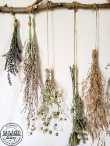 Make a stunning wall hanging from dried flowers and dried grasses for you a boho chic wall hanging in your home. This simple DIY is budget-friendly decor at it's finest! #wallart #driedflowers #bohodecor #farmhousewallart