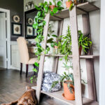 Found this shelf at a garage sale and turned it into a stunning plant shelf for my bathroom. This thrifted shelf makeover is proof good bones are all you need to turn trash to treasure! #paintedfurniture #thriftedmakeover #plantstand #plantlady