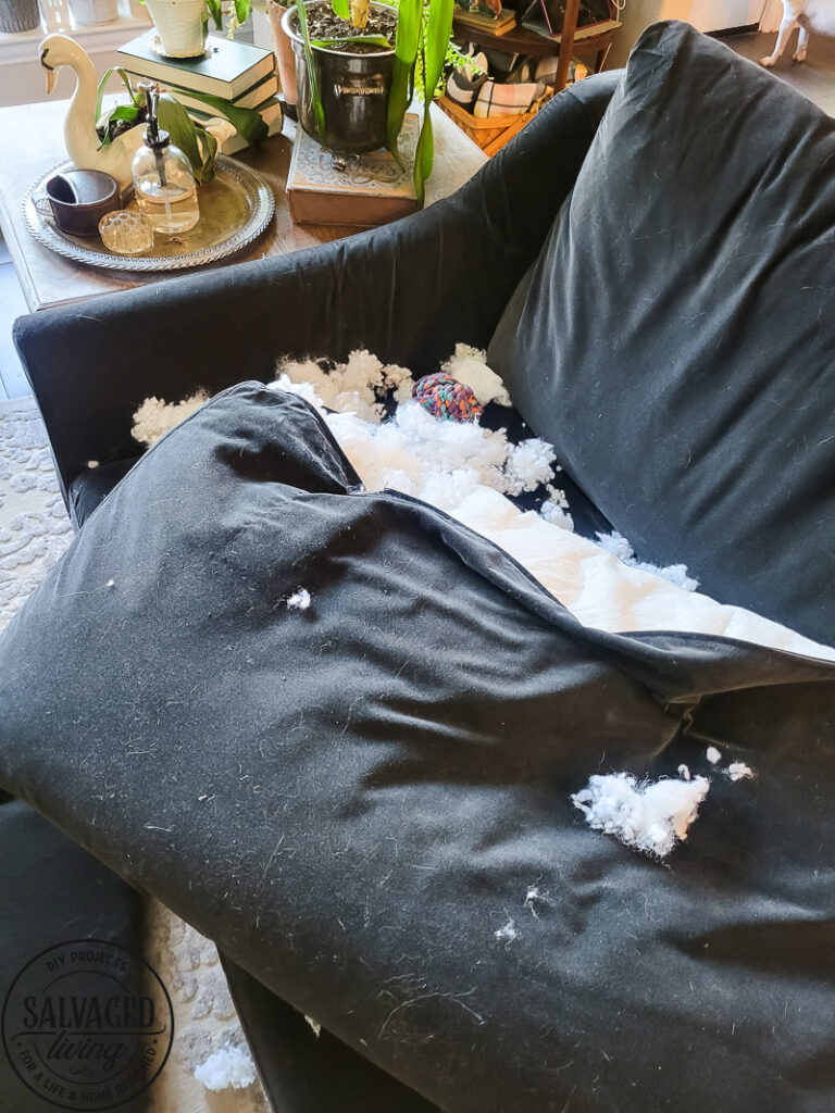 The best slipcover couches you can find. Check out the perfect couches for your busy family, you definitely want a slip covered couch of you have pets so you can easily celan your couch! This list of cozy slip cover couches will help you find one quick! #slipcover #petfurniture #bestcouch #easytoclean