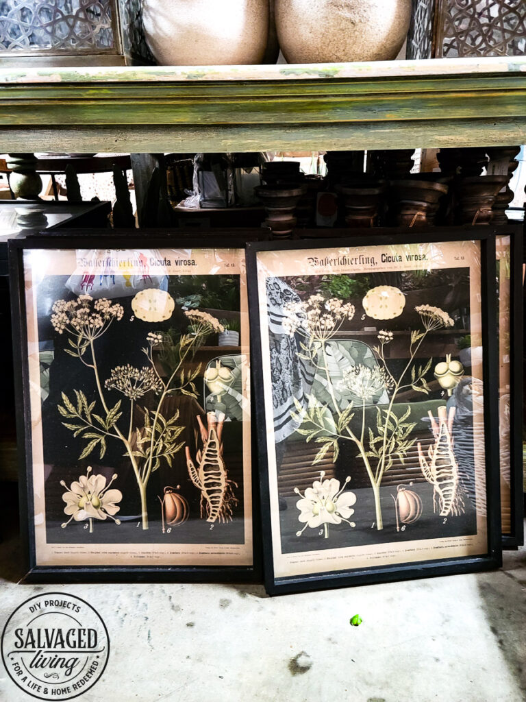 Vintage trends from the Round Top, Texas antiques show. Add these on trend vintage home decor items to your house for that cozy, curated feel. Be sure to look for these unique vintage items as you shop garage sales, flea markets and thrift stores! #vintagestyle #cozyhome #curateddecor 
