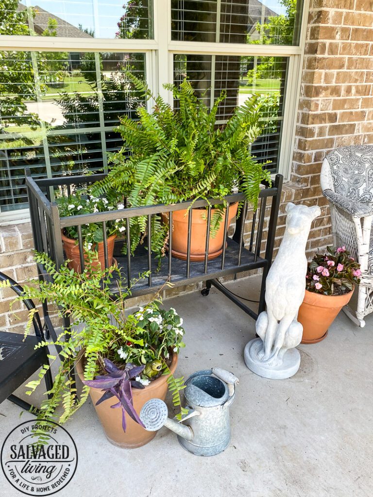 Tired of dead patio plants? This easy fix is for you! See how easy it is to add drip irrigation to your patio plants with a timer. Rain Brid has an easy Patio PLant Watering System you can install in minutes to save you time and money! #rainbird #irrigation #theintelligentuseofwater #gardentips #wateringplants #rainbirdathome #diy #sponsored