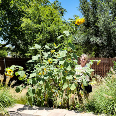 Summer Backyard Tour!