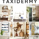 Get inspired with classic decor with tasteful taxidermy examples you can admire and incormporate into your home for a rustic feel. Taxidermy brings in a warm European vibe to your home decor, it is tasteful, timeless, stunning and hard working in a beautifully curated home. #taxidermydecor #Europeandecor #englishdecor #oldworld