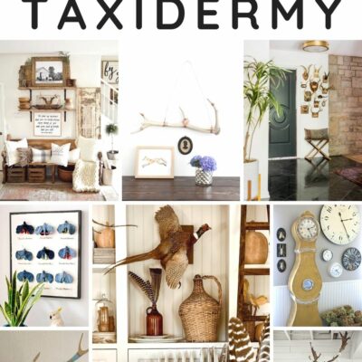 Classic Style With Tasteful Taxidermy Decor