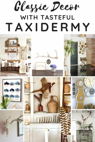 Get inspired with classic decor with tasteful taxidermy examples you can admire and incormporate into your home for a rustic feel. Taxidermy brings in a warm European vibe to your home decor, it is tasteful, timeless, stunning and hard working in a beautifully curated home. #taxidermydecor #Europeandecor #englishdecor #oldworld