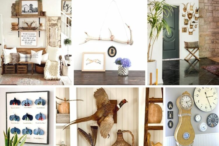 Get inspired with classic decor with tasteful taxidermy examples you can admire and incormporate into your home for a rustic feel. Taxidermy brings in a warm European vibe to your home decor, it is tasteful, timeless, stunning and hard working in a beautifully curated home. #taxidermydecor #Europeandecor #englishdecor #oldworld