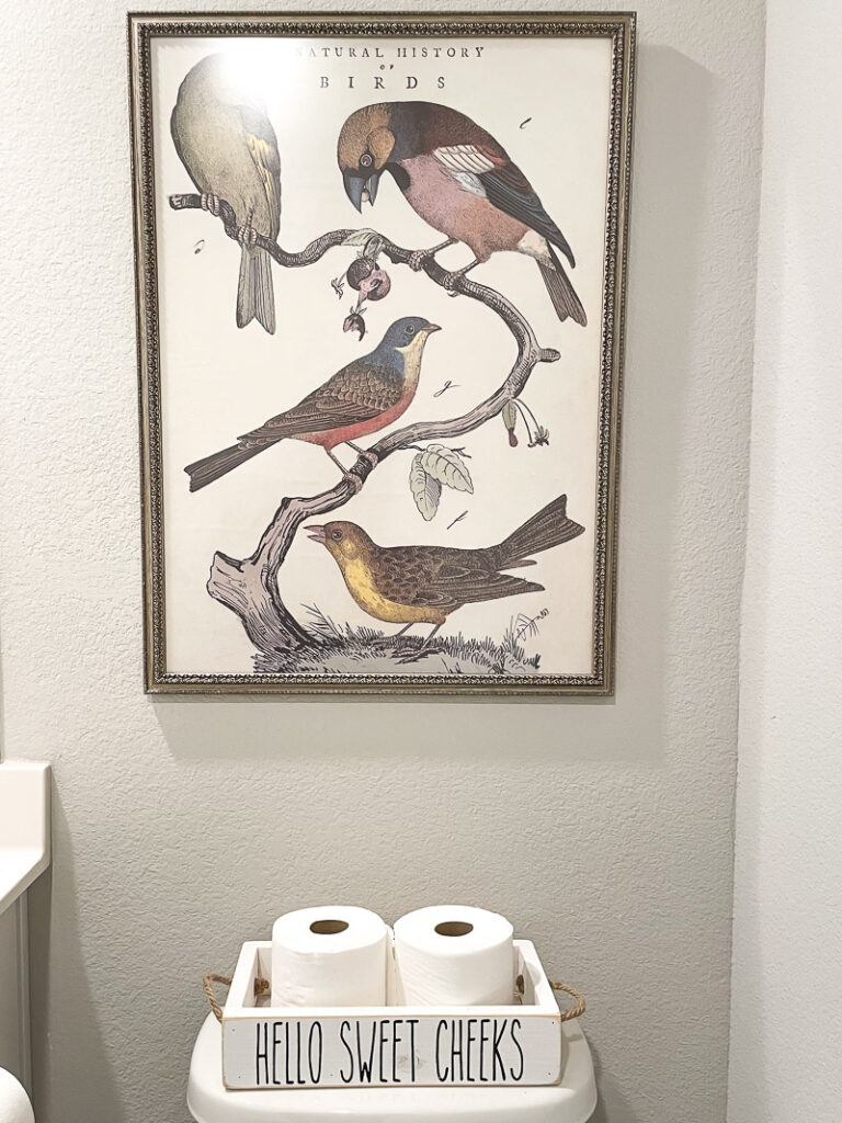If you're on the hunt for bathroom organization ideas, look no further! I've got 5 Amazon must-haves for bathroom organization that you NEED TO SEE! And I've already tested them myself, so you know they're a winner! #bathroom #organization #amazonfinds
