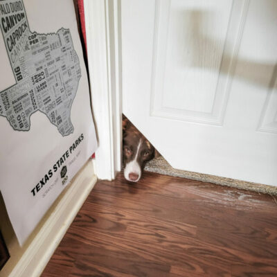 How to make your own interior cat door!
