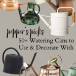 I've rounded up 50+ BEAUTIFUL watering cans to use and decorate with... and I think you're going to love these double duty pieces!