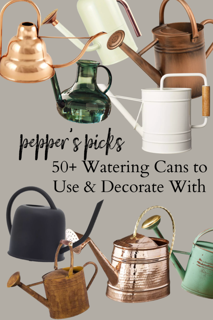 I've rounded up 50+ BEAUTIFUL watering cans to use and decorate with... and I think you're going to love these double duty pieces!