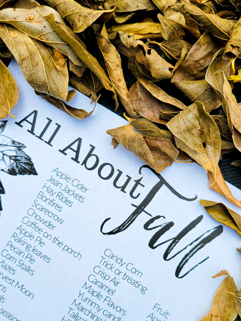 All about fall inspiration here-- all the fall smells, fall smells, sights, activities and feels to inspire you for your fall decorating!