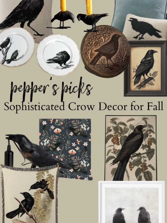 Crow decor you’ll love for Fall