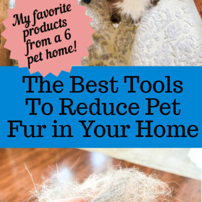 Best Tools To Reduce Pet Fur In Your Home