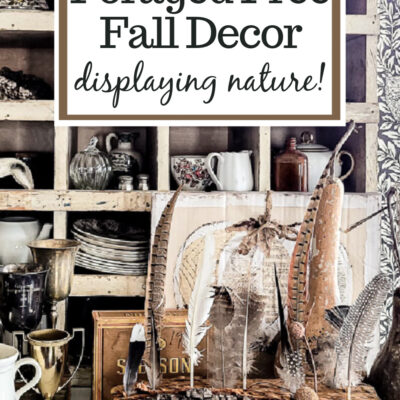 Foraged Free Fall Decor from Nature